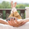 man relaxing on balcony